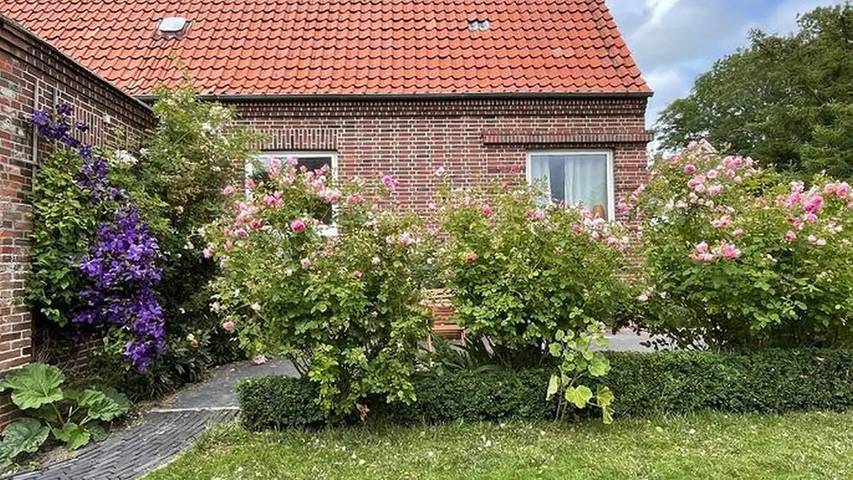Ferienhaus für 8 Personen, mit Garten und Sauna in Nordenham - 3
