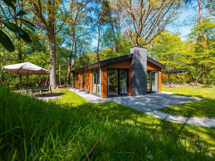 Vakantiepark voor 6 personen, met tuin en zwembad in Ruinen