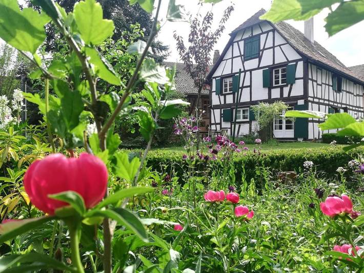 Location de vacances pour 6 personnes, avec jardin et vue, adapté aux familles à Ohnenheim