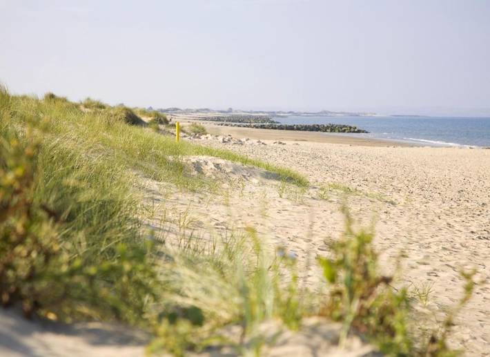 Location de vacances pour 8 personnes, avec jardin, animaux acceptés dans Rosslare - 2