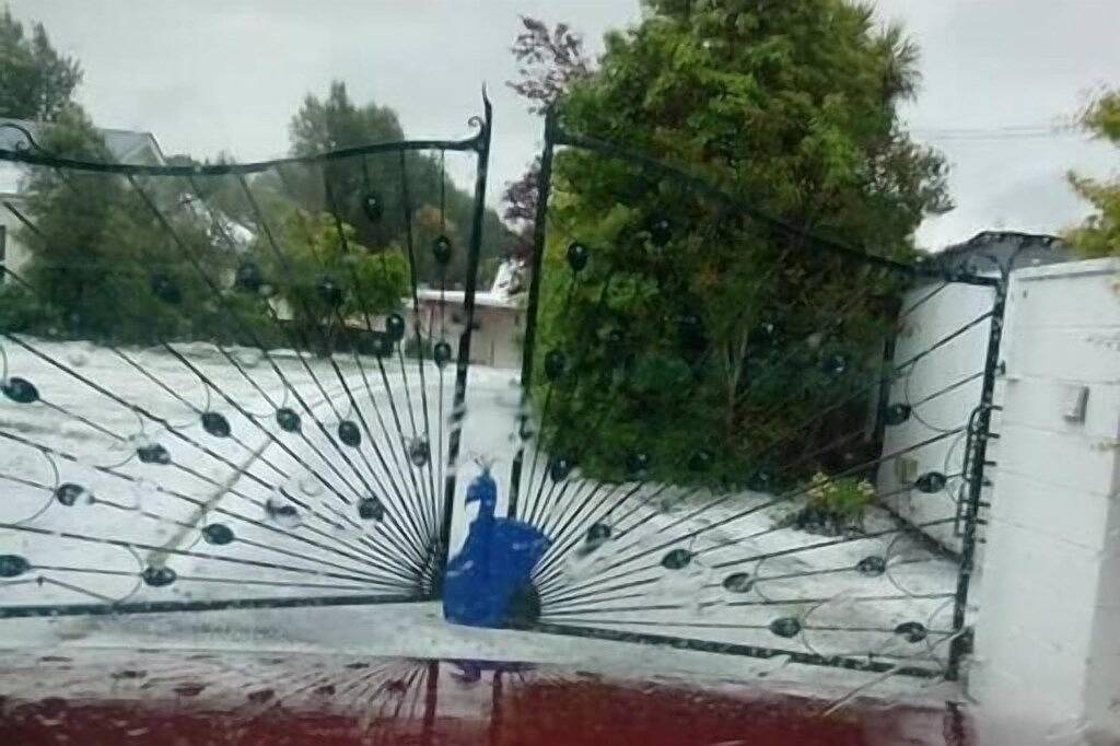 Holiday Home for 4 People in Christchurch (New Zealand), Canterbury (NZ)