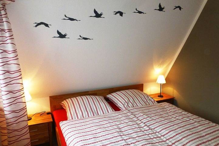 Ferienhaus für 4 Personen, mit Sauna und Garten sowie Terrasse, mit Haustier in Rankwitz - 2