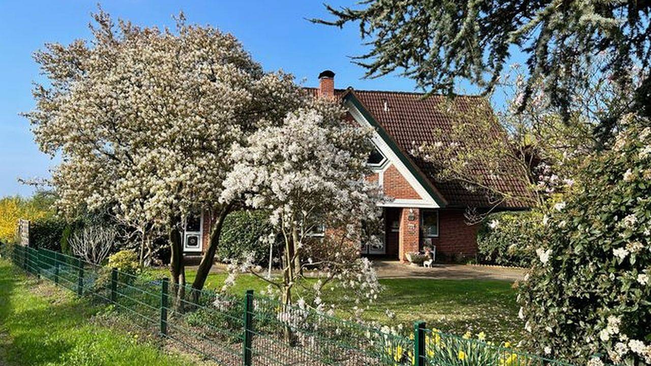 Ganze Ferienwohnung, Ferienwohnung für 6 Personen (112 m²) in Jork in Borstel, Jork
