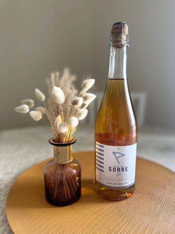 Gîte pour 3 personnes, avec balcon et vue dans Saint-Énogat - 4