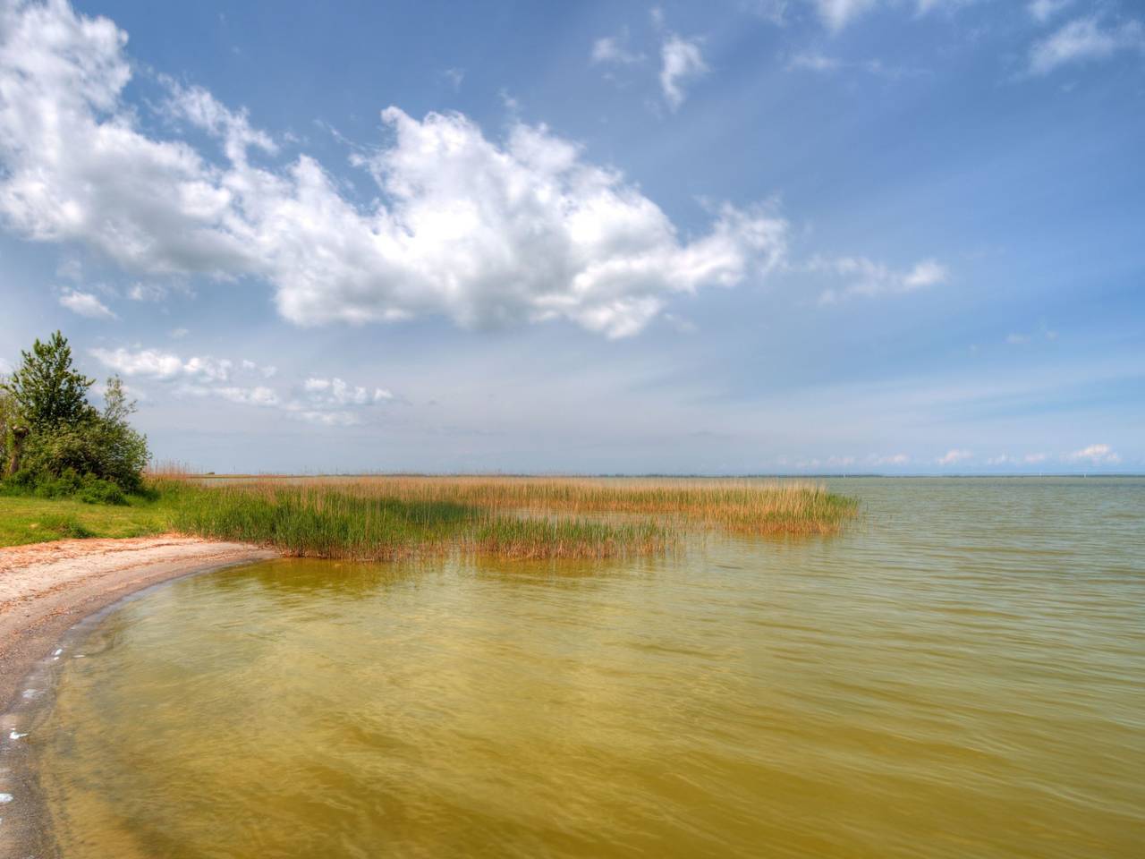 "Saaler Bodden" in Neuendorf (Bei Saal), Saal