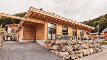 Ferienhaus für 2 Personen, mit Terrasse und Ausblick sowie Sauna, mit Haustier in Rieden (Eifel)