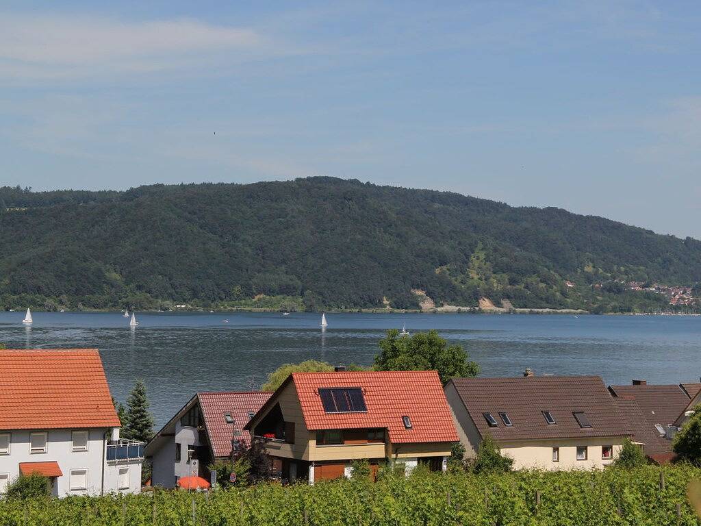 Ferienwohnung mit 1 Schlafzimmer in Bodman-Ludwigshafen, Obersee (Bodensee)