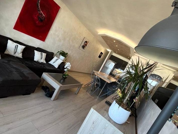 Gîte pour 7 personnes, avec vue et jardin, animaux acceptés dans Port Saint Ange - 4