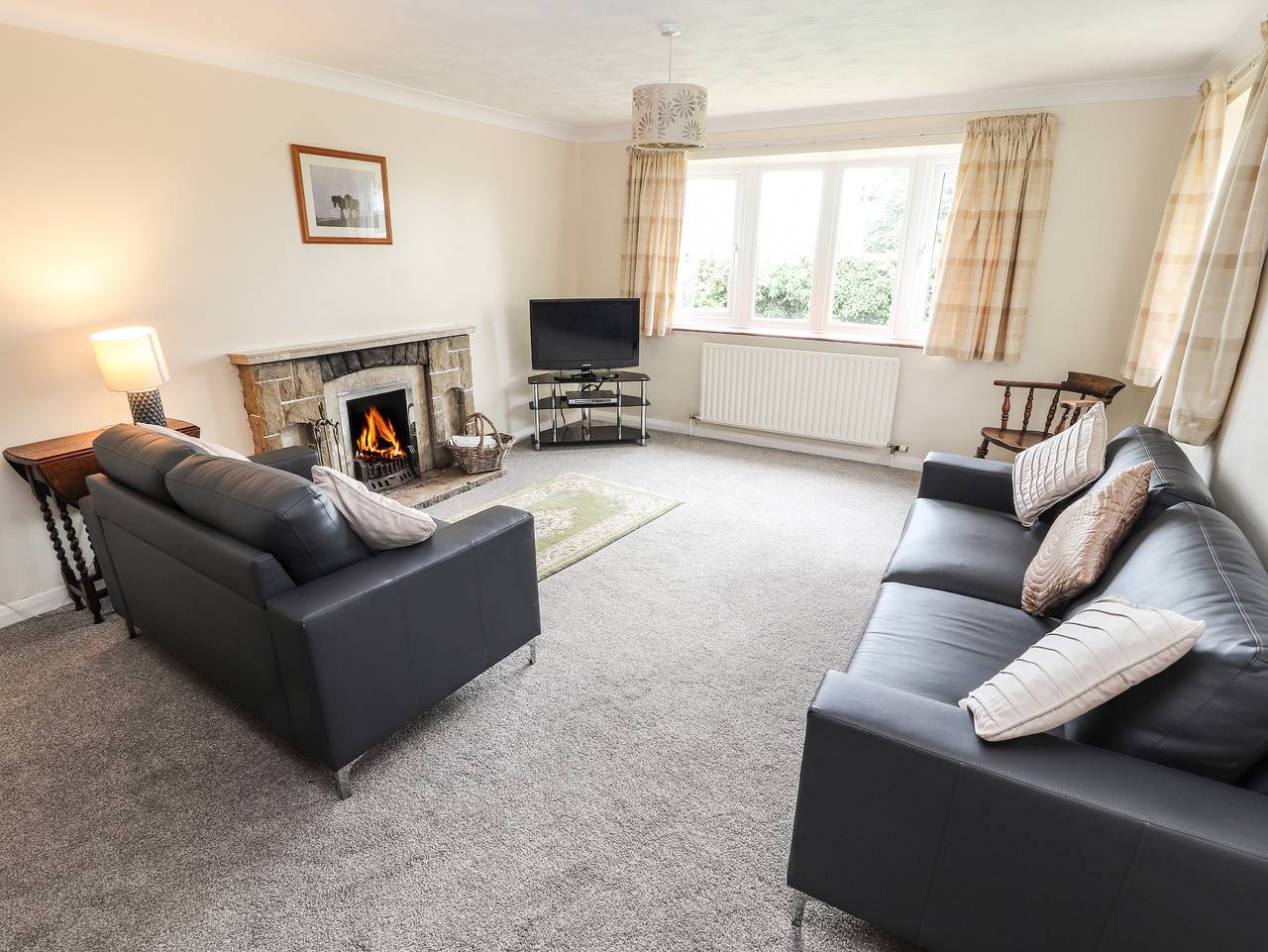 Sandmartins in Flintshire