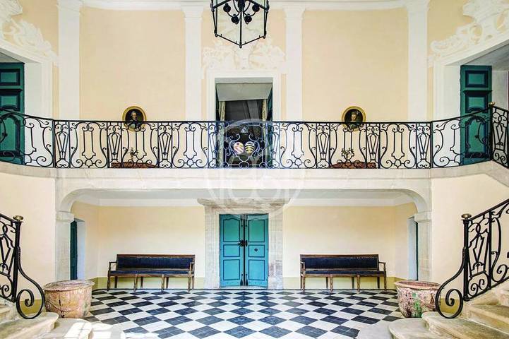 Château pour 13 personnes, animaux acceptés dans le Gard