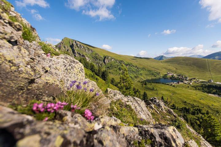 Ferienwohnung für 5 Personen, mit Garten und Ausblick, kinderfreundlich in Nockberge