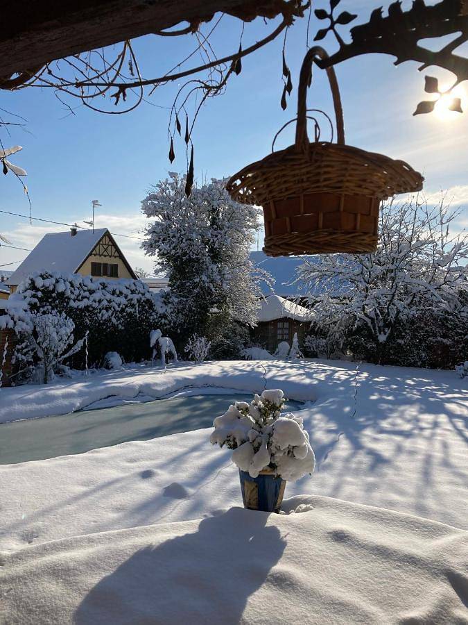 Appartement entier, One-Bedroom Apartment in Marlenheim, Nord de l'Alsace