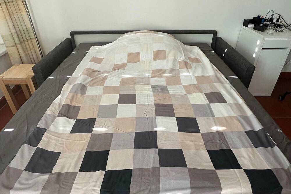 Ganze Wohnung, Ferienwohnung Kronegarten in Salzkammergut-Berge, Gmunden