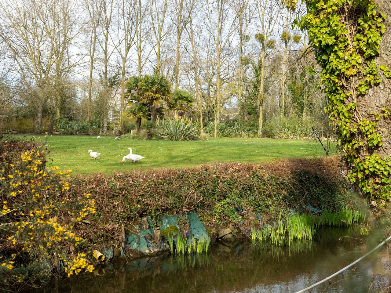 Appartement entier, L'annexe in Cancale, Baie du Mont-Saint-Michel