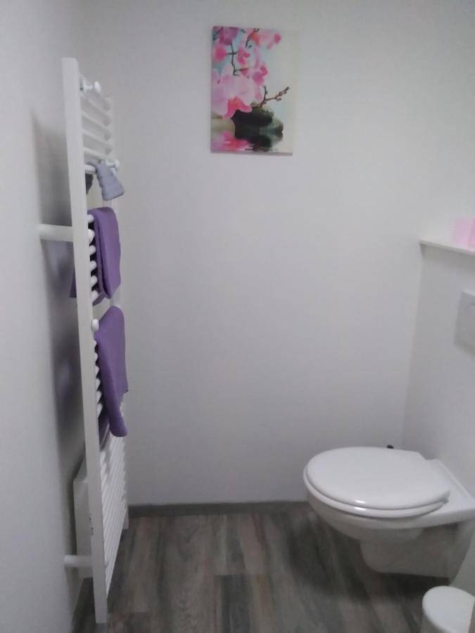 Appartement entier, One-Bedroom Apartment in Contrexéville, Neufchâteau