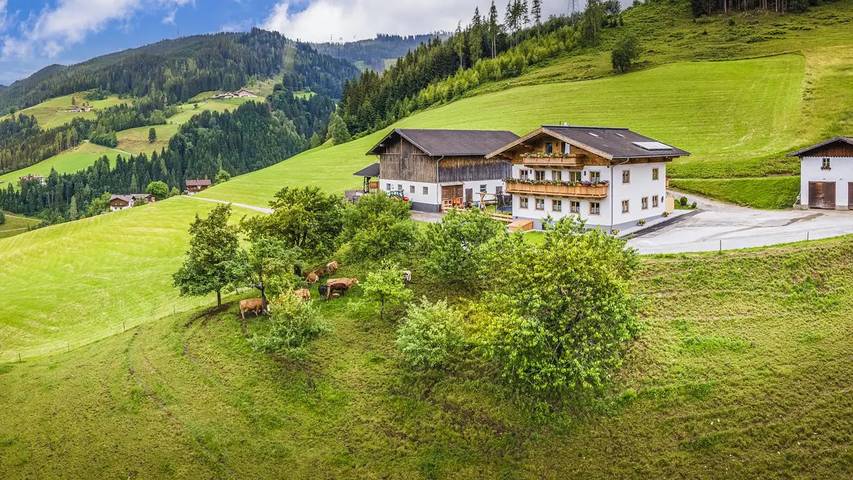 Hütte für 4 Personen, mit Garten und Terrasse in Mühlbach am Hochkönig