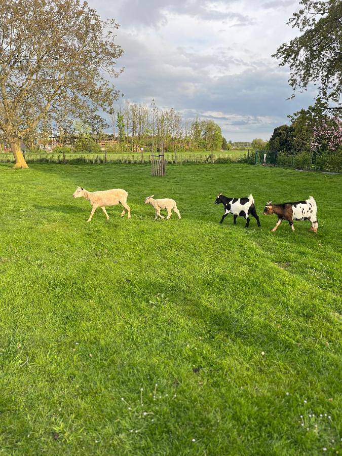 Maison d’hôte pour 2 personnes, avec vue et jardin à Tournai - 2