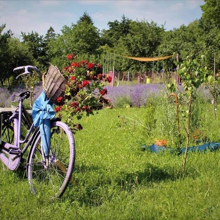 Location de vacances pour 7 personnes, avec jardin et jacuzzi dans Câmpina - 2
