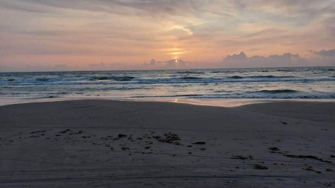 Ferienhaus für 6 Personen (65 m²) in Blokhus in Hune, Jammerbugt