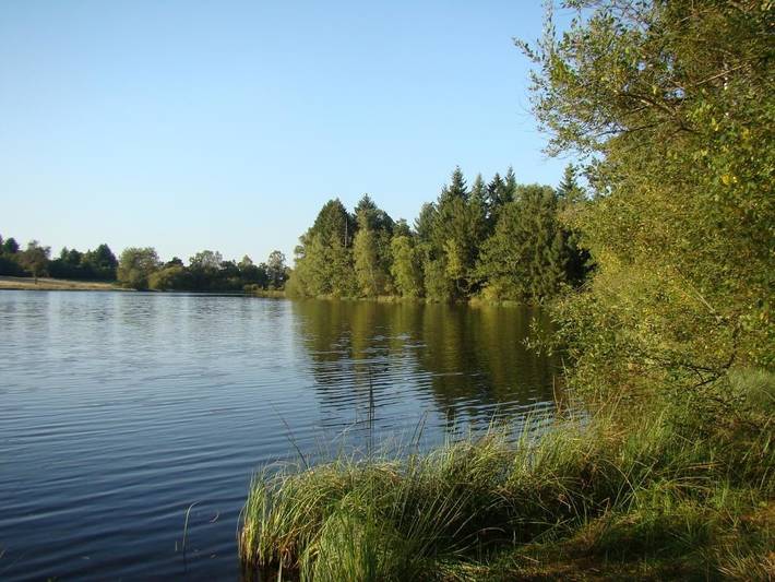 Chasseneuil in Saint-Pardoux-le-Lac, Región de Bellac