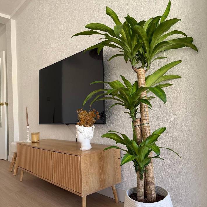 Location de vacances pour 6 personnes, avec terrasse, animaux acceptés à Las Torres de Cotillas