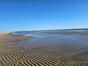 Chalet für 26 Personen in Nyborg und Umgebung, Region Süddänemark, Bild 4