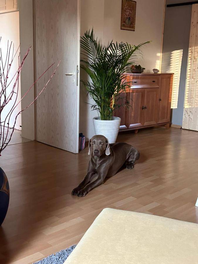 Ferienwohnung für 5 Personen, mit Terrasse und Ausblick in Schorfheide