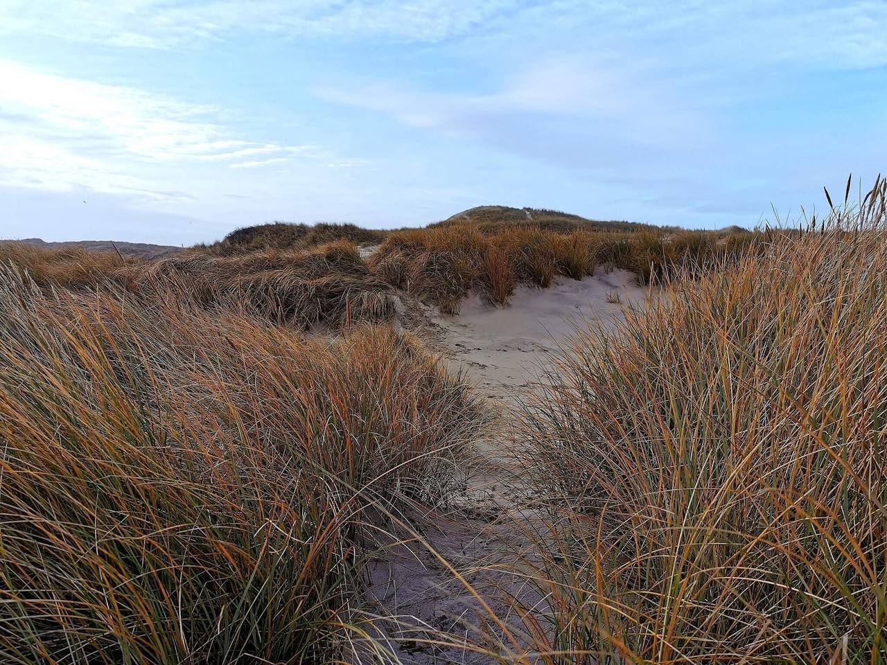 8 Personen Ferienhaus in Ringkøbing in Ringkøbing, Holmsland Klit