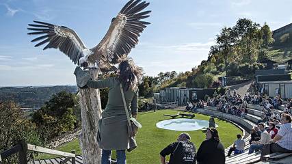 Ferienwohnung für 4 Personen in Südoststeiermark, Riegersburg, Bild 3