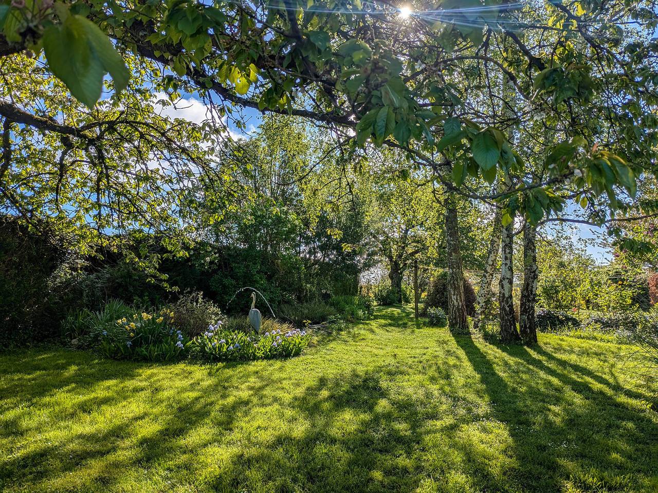 Chambres d'hôtes au calme près des châteaux de la Loire in Châtillon-sur-Indre, Région de Châteauroux