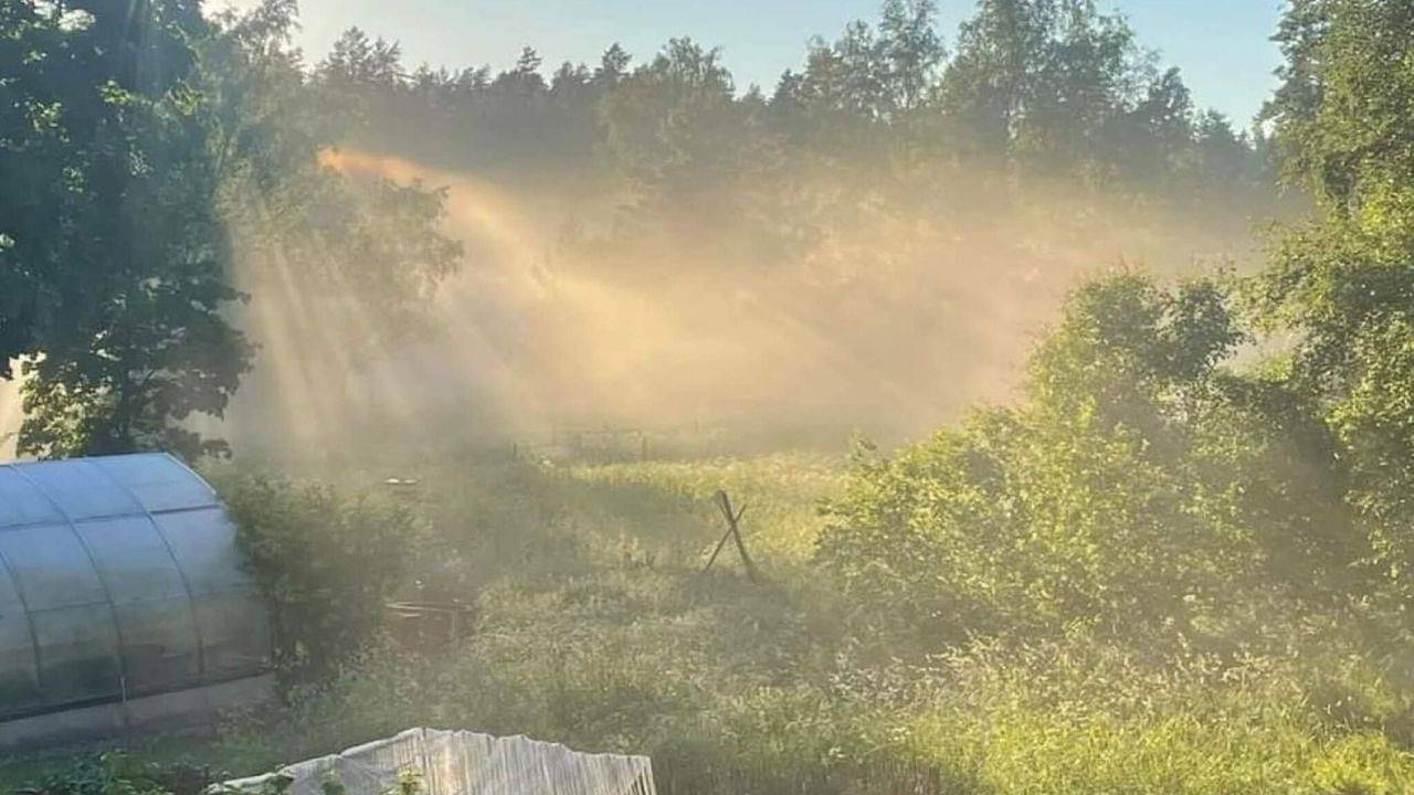 Ferienhaus für 4 Personen (30 m²) in Nykvarn in Swedish Baltic Sea