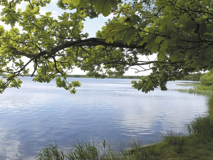 Ferienhaus für 6 Personen, mit Haustier in Kvie Sø - 4