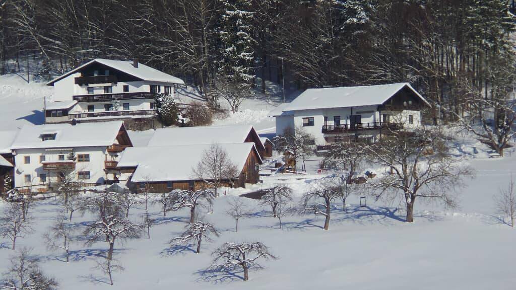 Ferienhof Fernblick - Ferienwohnung "Marianne" in Hunding, Ostbayern