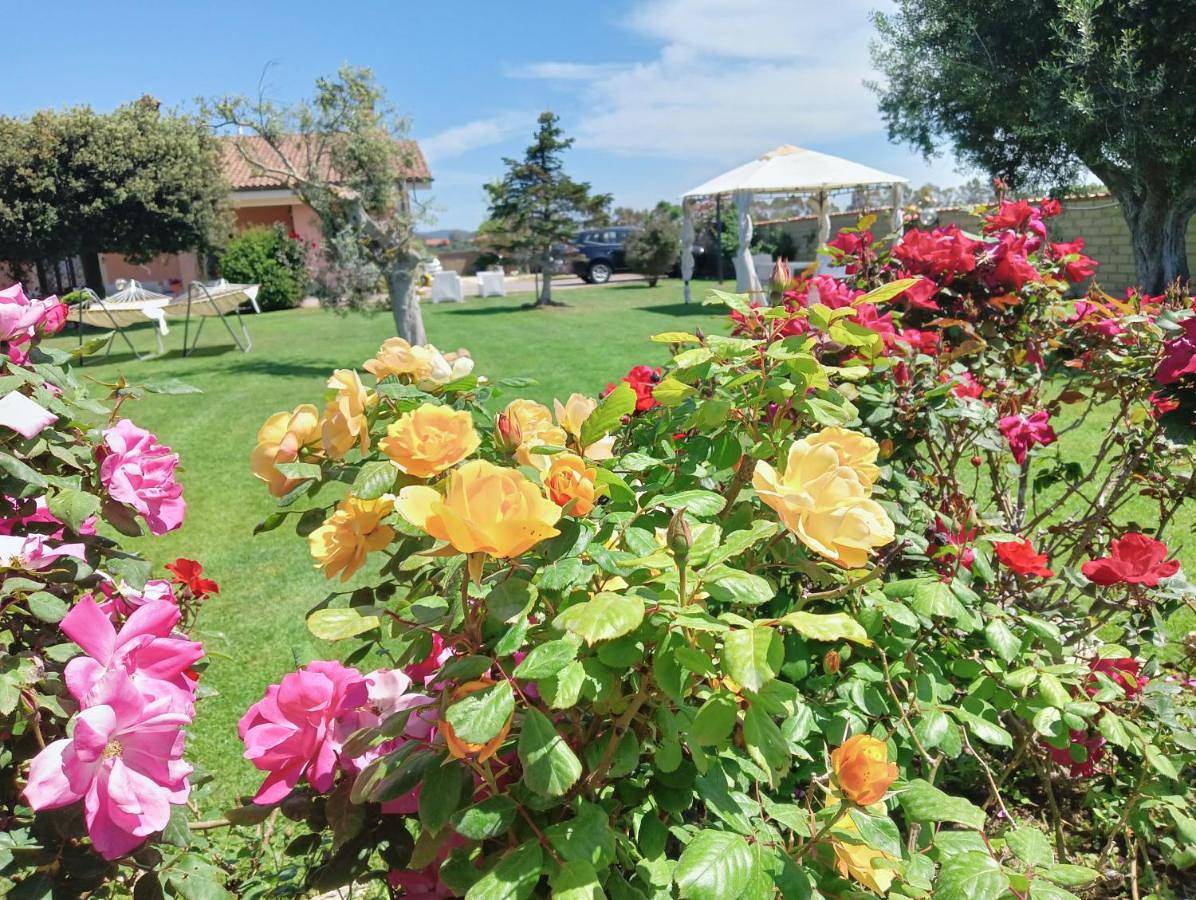 Double Room with Shared Bathroom in Ladispoli, Provincia di Roma
