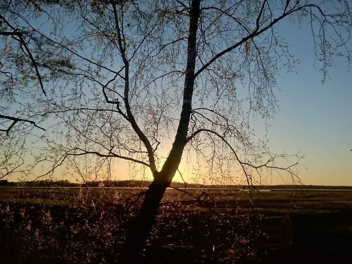 Ferienhaus für 4 Personen, mit Terrasse, kinderfreundlich in Värmland - 4