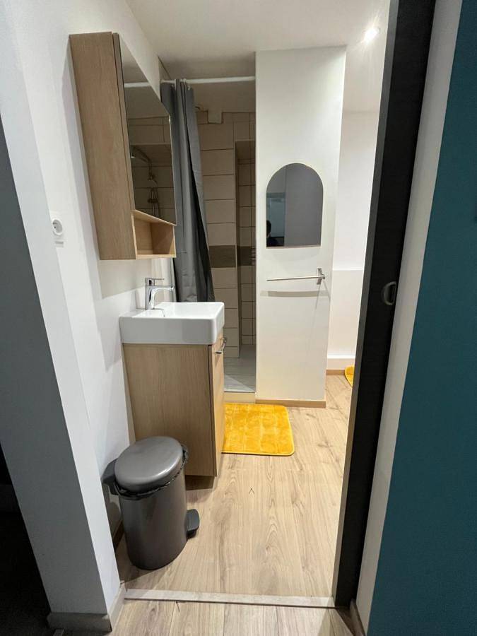 Gîte pour 4 personnes, animaux acceptés à Talant - 3