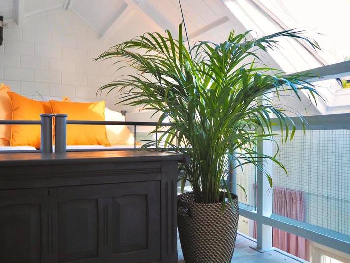 Ferienwohnung für 3 Personen, mit Sauna und Whirlpool sowie Garten in Ouddorp - 3