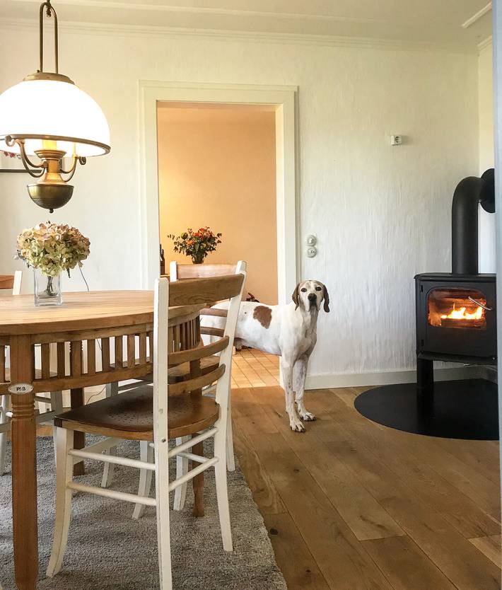 Ferienwohnung für 4 Personen, mit Garten in Oldenswort - 2