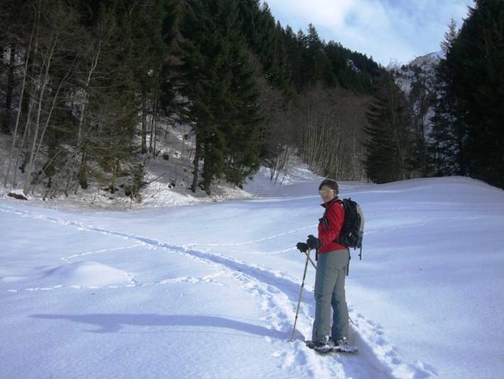 Ferienwohnung für 6 Personen, mit Ausblick und Garten, kinderfreundlich in Schoppernau - 3