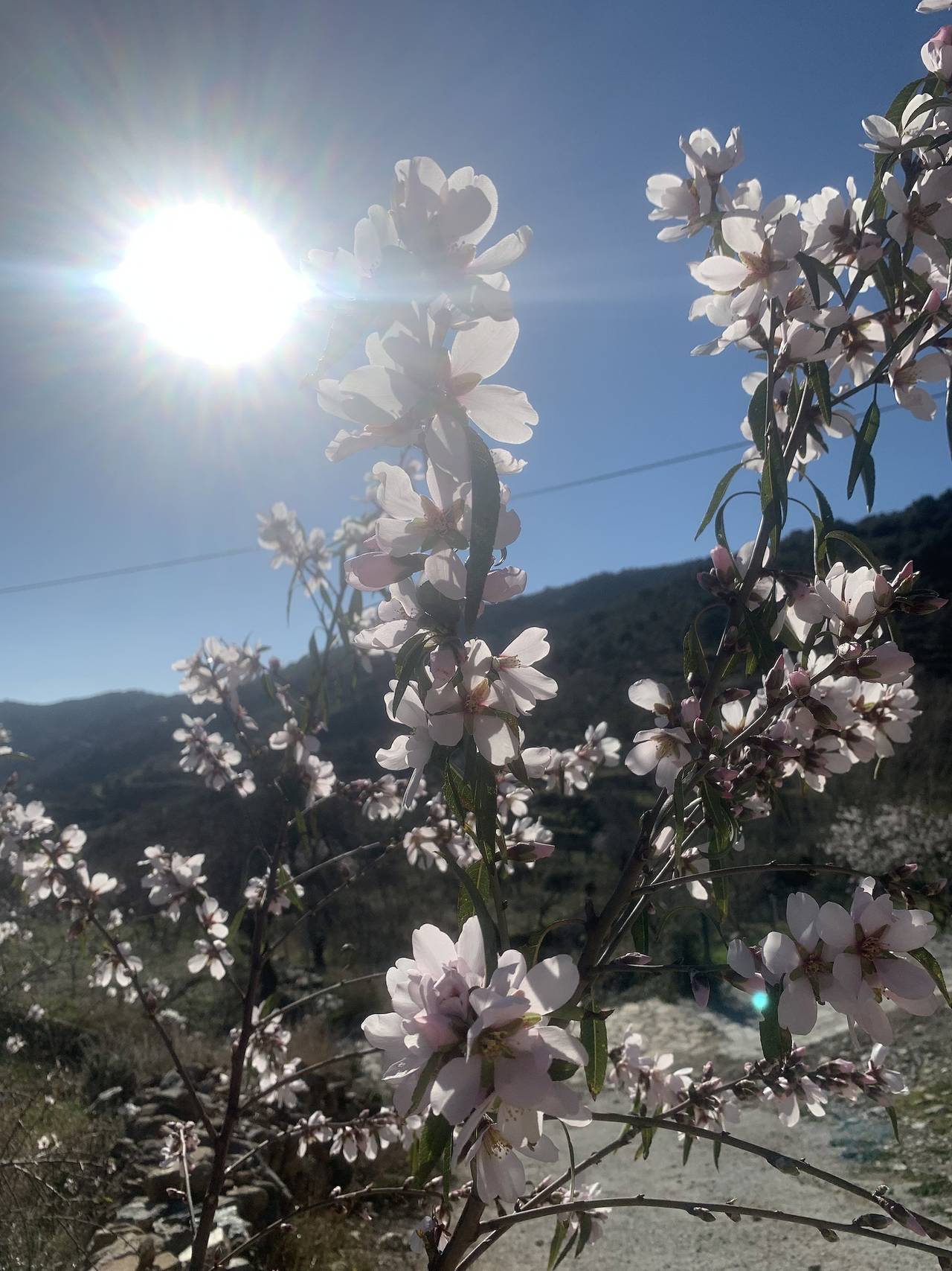 Maison romantique pour 2 ou 4 personnes in Laroya, Cordillera Penibética
