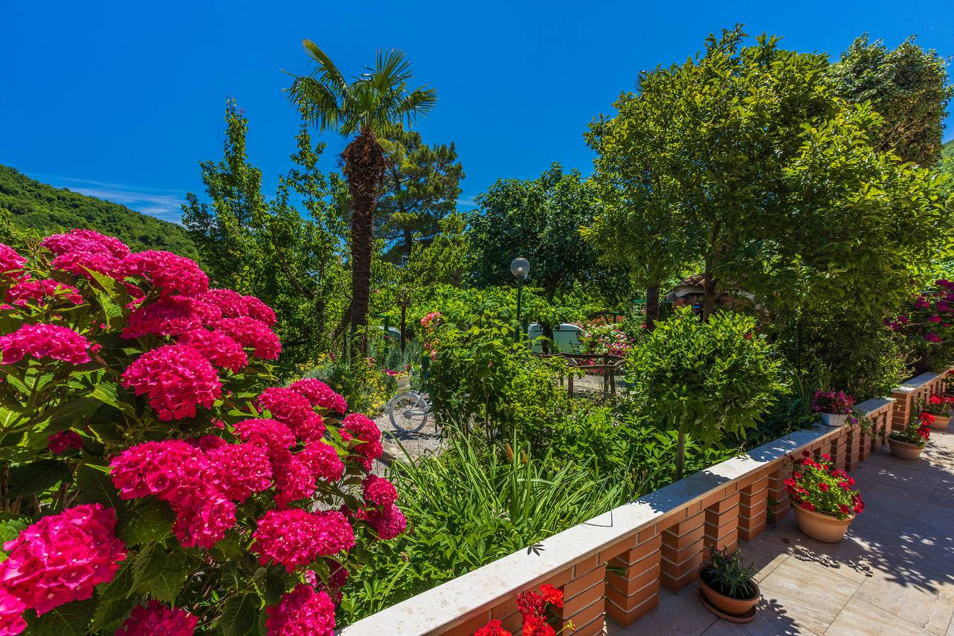 Ganze Wohnung, Apartments Branka in Moscenicka Draga, Opatija Riviera