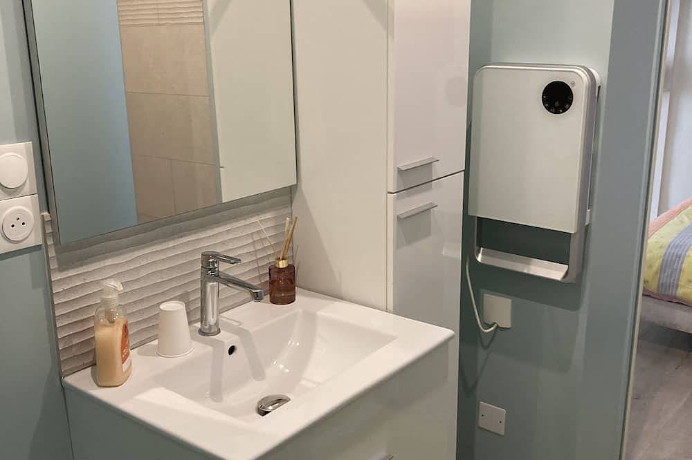 Entire apartment, City Center Apartment in Saint-Amand-les-Eaux, Valenciennes region