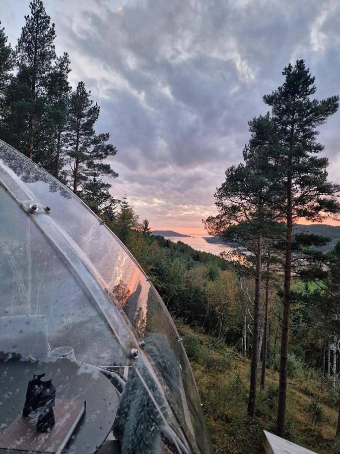 Glassigloo med panoramautsikt - Nordlys og stjernehimmel - Fosen in Rissa
