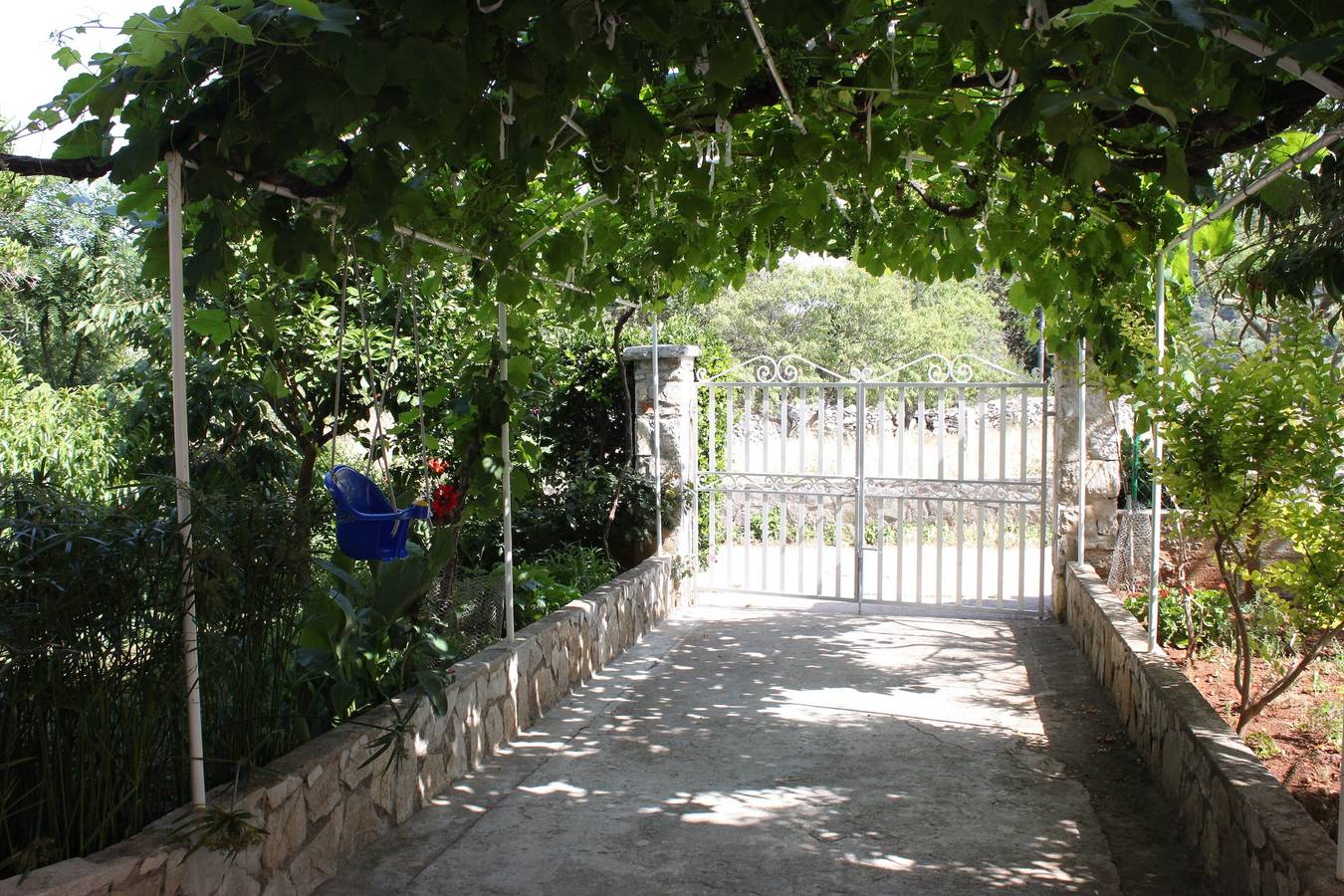 Ganze Wohnung, 1-Zimmer-Ferienwohnung mit Terrasse Bozava, Dugi otok A-8100-b in Sali, Dugi Otok