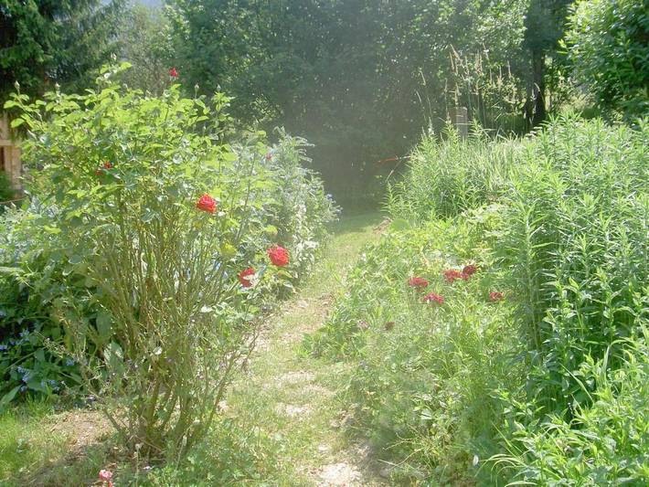 Location de vacances pour 4 personnes, avec vue et jardin à Le Noyer - 4