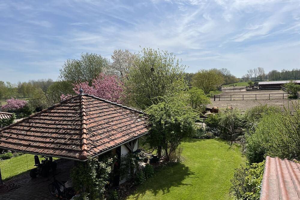 Ganze Wohnung, Neue Wohnung im Spargeldorf Schäpe mit großem Südwest Sonnenbalkon in Beelitz, Mittelmark