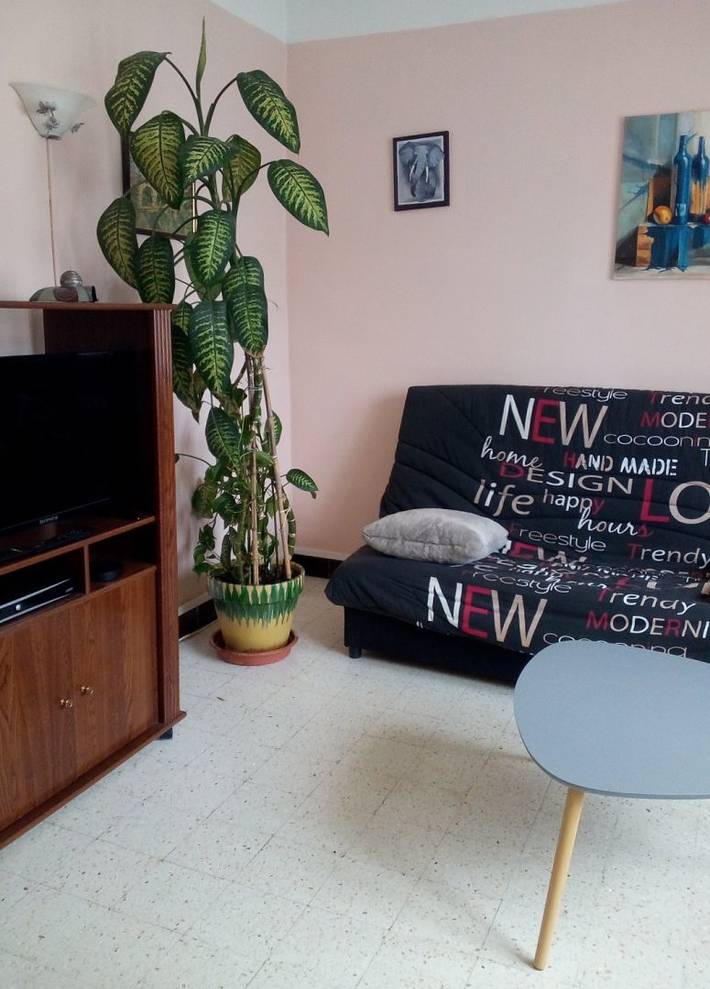Gîte pour 6 personnes, avec jardin, animaux acceptés à Le Vigan - 3