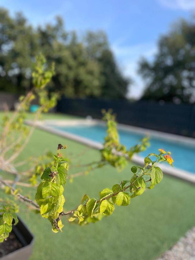 Gîte pour 6 personnes, avec vue ainsi que jardin et piscine à Vescovato - 3