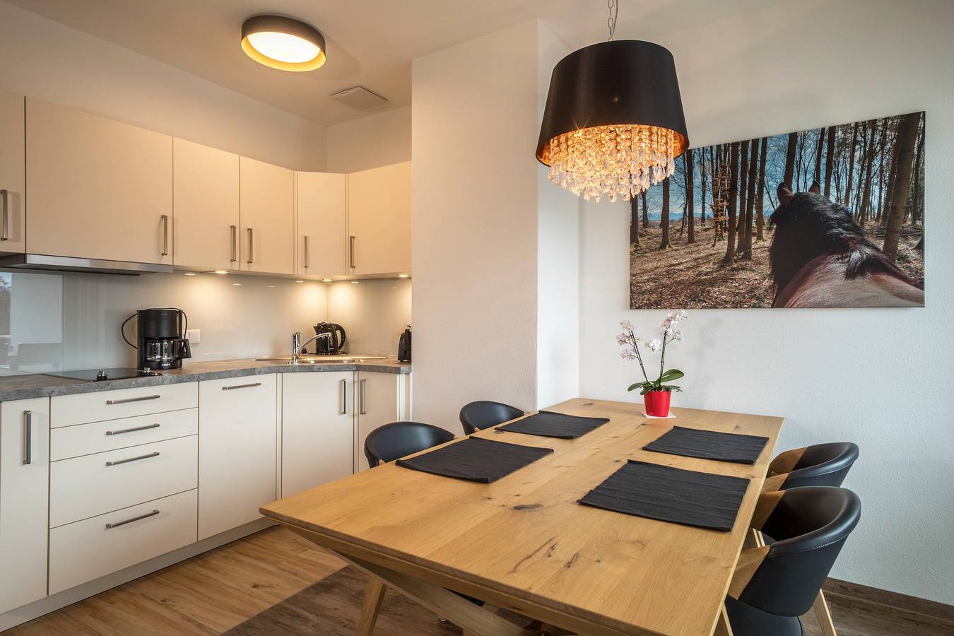 Ganze Wohnung, Ferienwohnung "3 am Biohof Eriskirch" in Bodenseenähe mit Balkon & Garten in Eriskirch, Region Bodensee-Oberschwaben