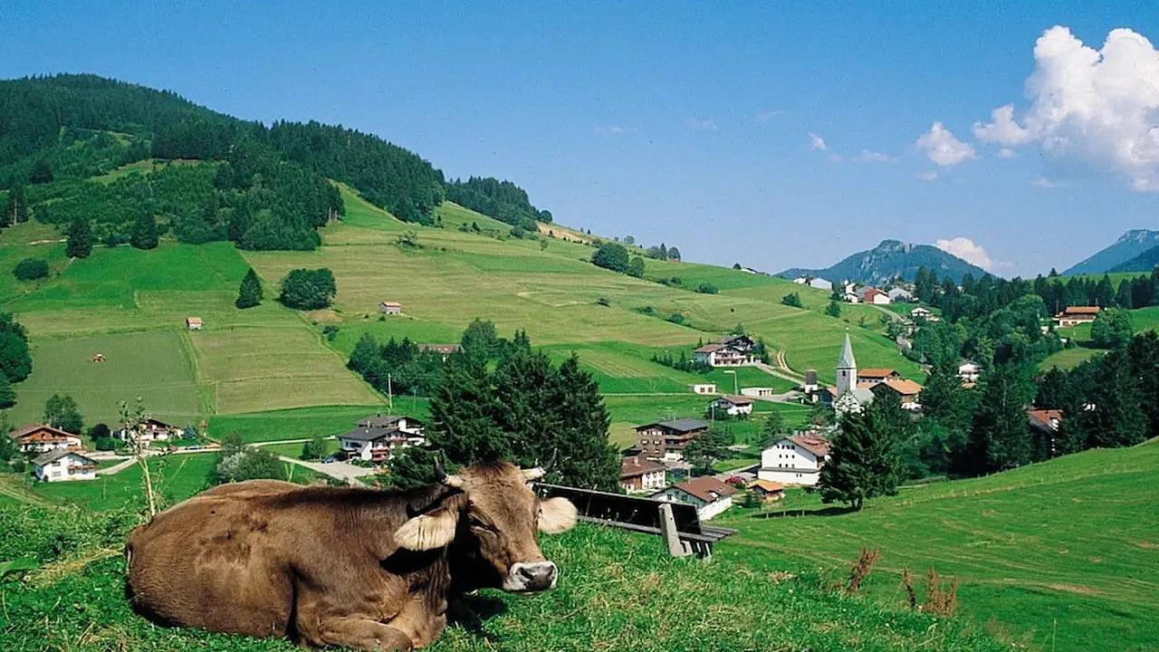 Ferienhaus für 6 Personen (80 m²) in Jungholz in Jungholz, Bayerische Alpen